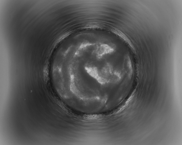 X0000096380826200802211119