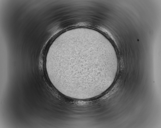 X0000096380827200802211119