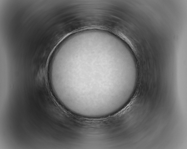 X0000096380828200802211119