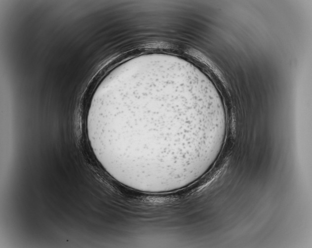 X0000096380829200802211119