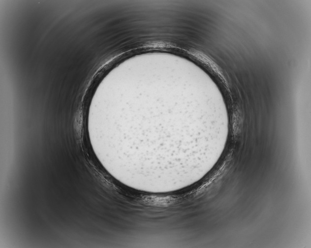 X0000096380831200802211119