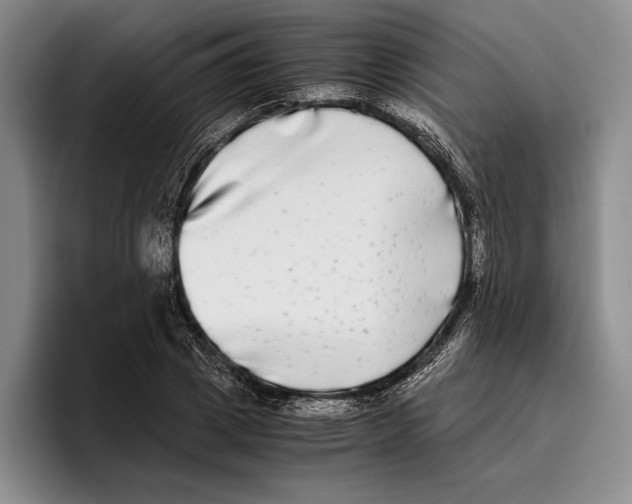 X0000096380833200802211119