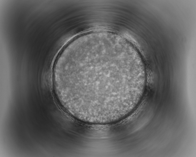 X0000096380836200802211119