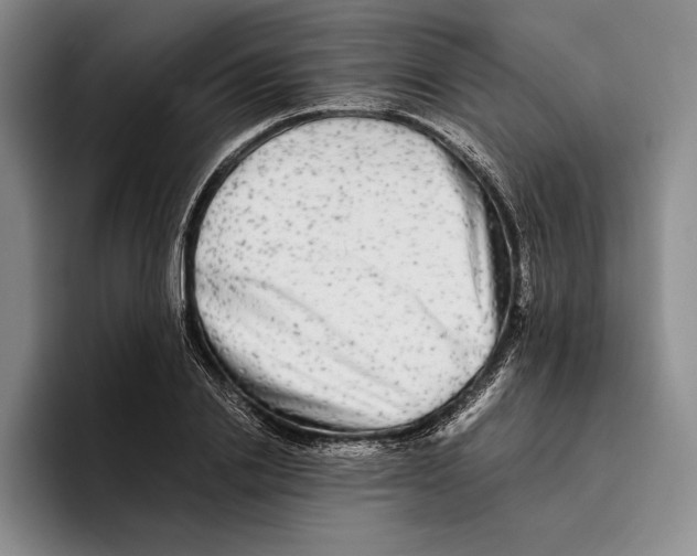 X0000096380838200802211119