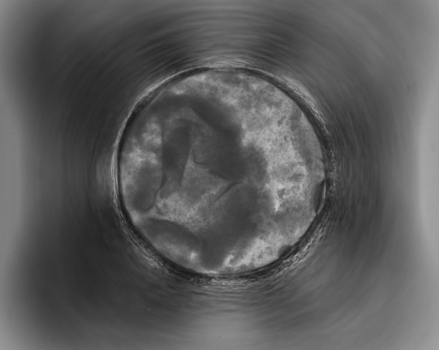 X0000096380840200802211119