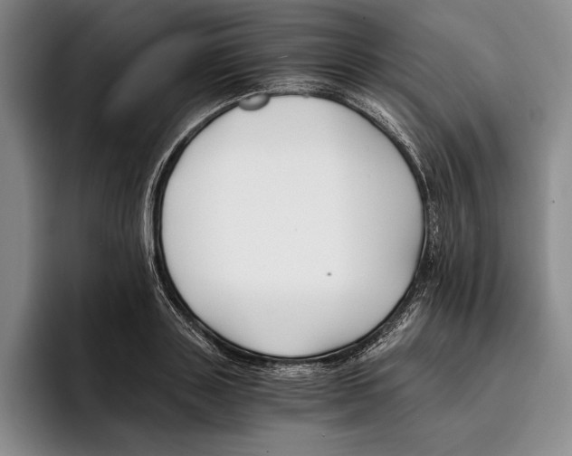 X0000096380843200802211119