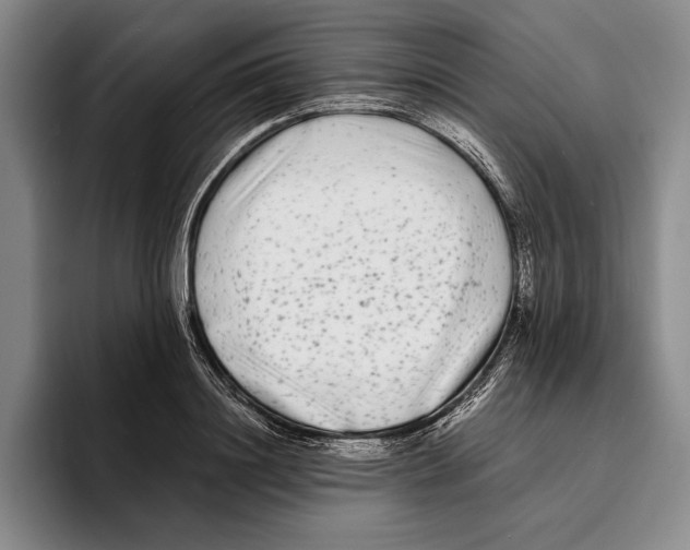 X0000096380844200802211120