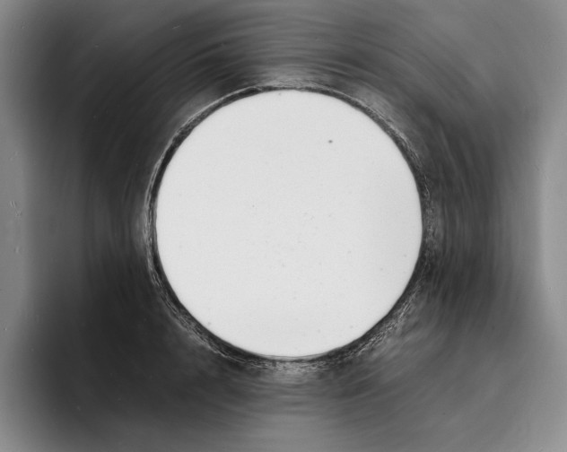 X0000096380848200802211120