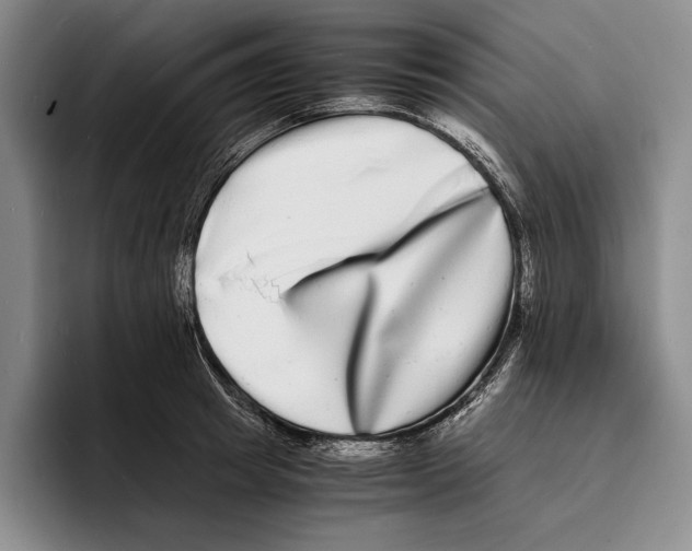 X0000096380849200802211120