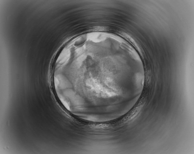 X0000096380851200802211120