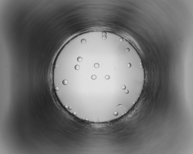 X0000096380852200802211120