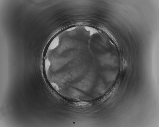 X0000096380853200802211120