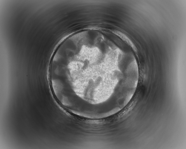 X0000096380855200802211120