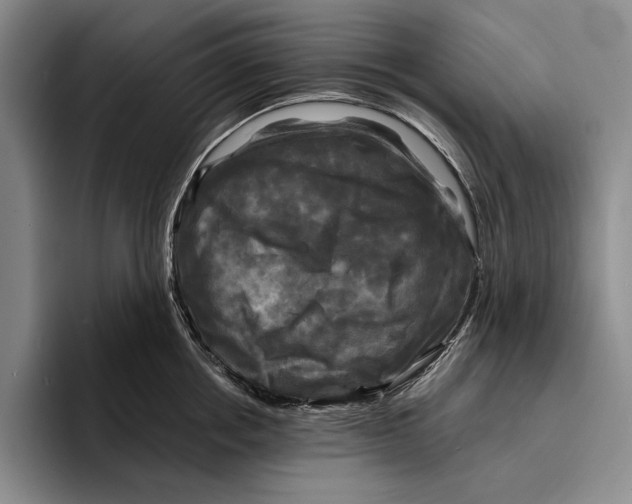 X0000096380858200802211120