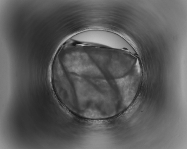 X0000096380862200802211120