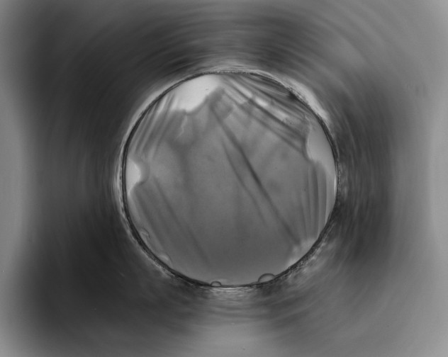 X0000096380863200802211120