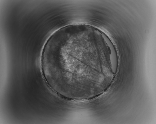 X0000096380864200802211120