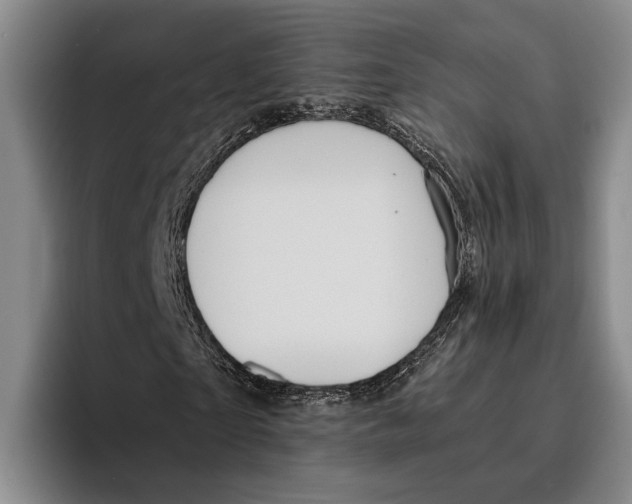 X0000096380865200802211119