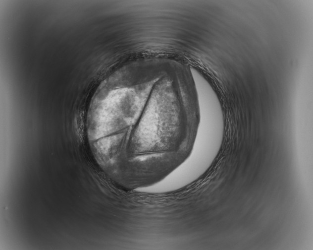 X0000096380868200802211119