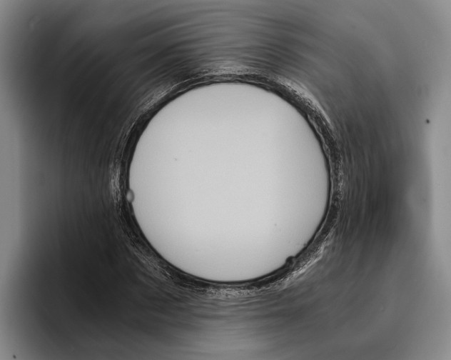 X0000096380873200802211119