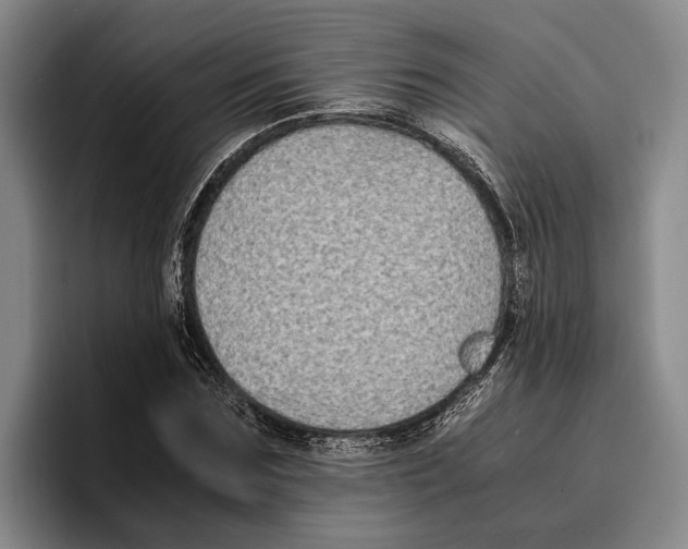 X0000096380875200802211119