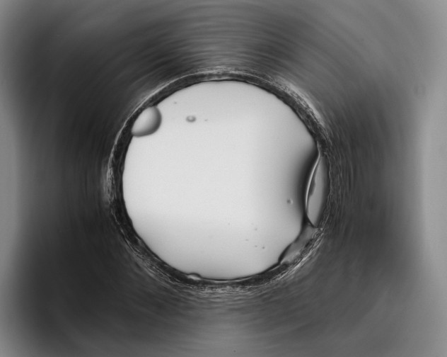 X0000096380876200802211119