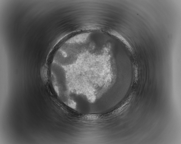 X0000096380878200802211119