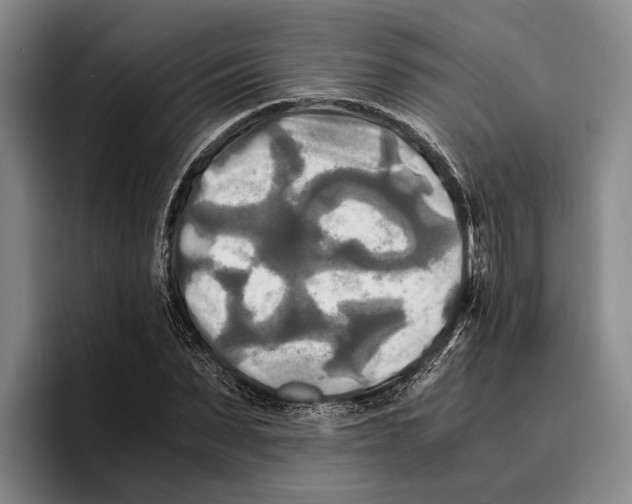 X0000096380879200802211119