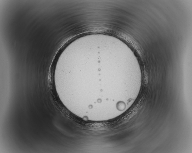 X0000096380883200802211119