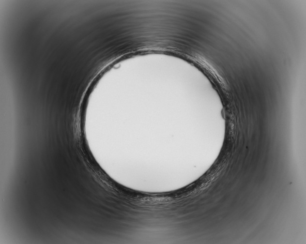 X0000096380884200802211119