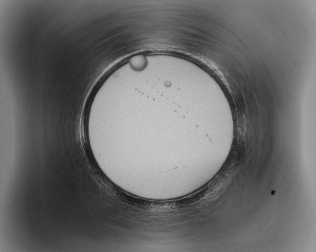 X0000096380887200802211119