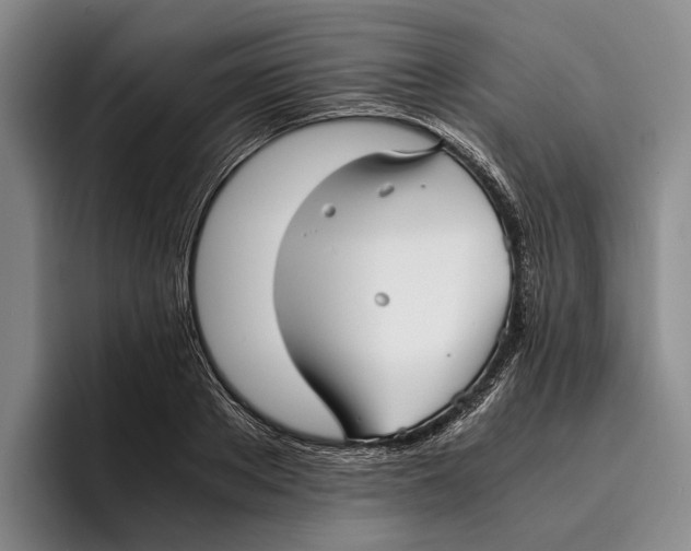 X0000096380889200802211119