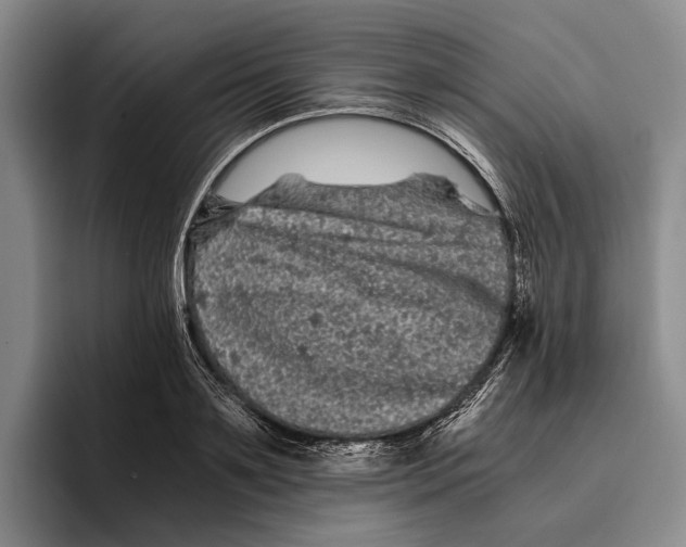 X0000096380891200802211119