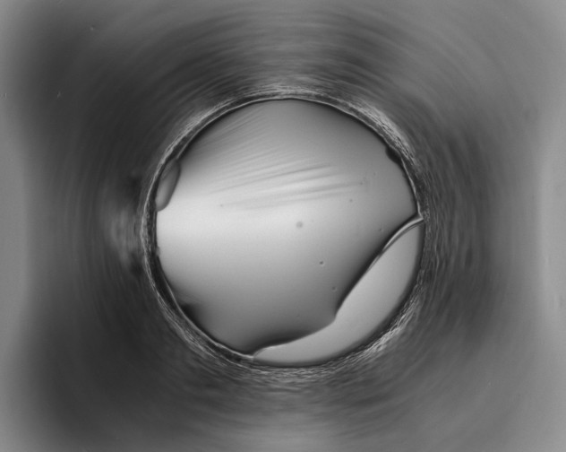 X0000096380893200802211119