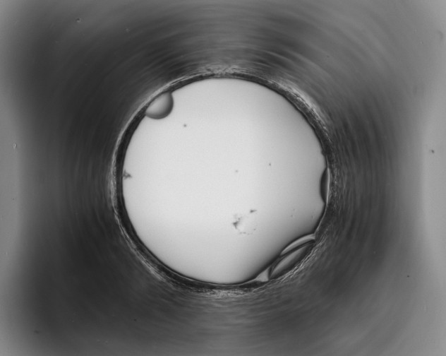 X0000096380894200802211119