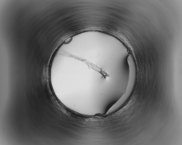 X0000096380898200802211119