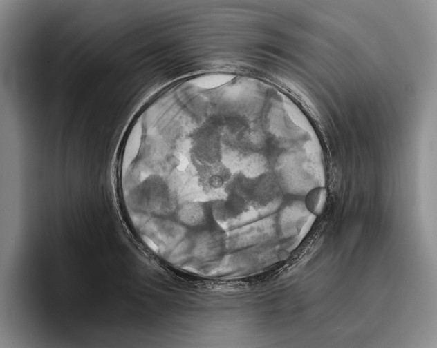 X0000096380899200802211119