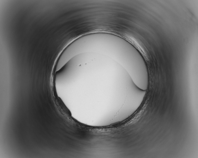 X0000096380900200802211119