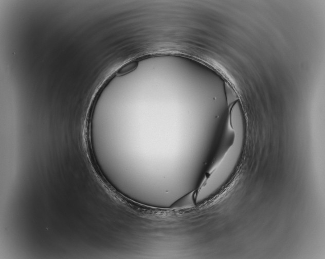 X0000096380901200802211119