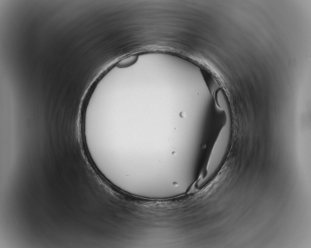 X0000096380902200802211119