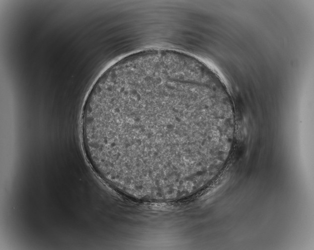 X0000096380903200802211119