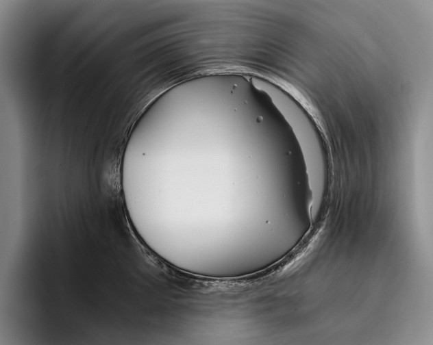 X0000096380905200802211119