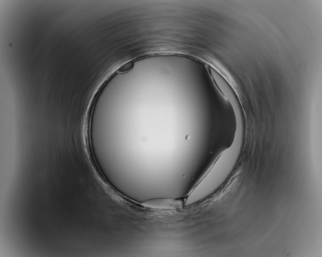 X0000096380909200802211119