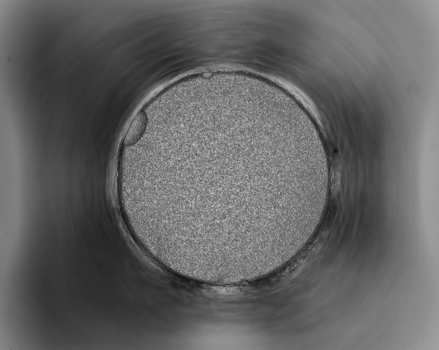 X0000096380911200802211119