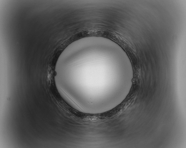 X0000096380914200802211118