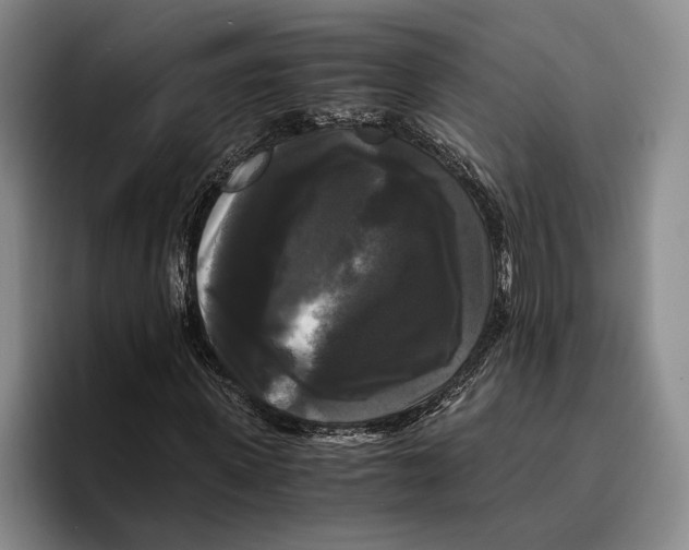 X0000096380915200802211118