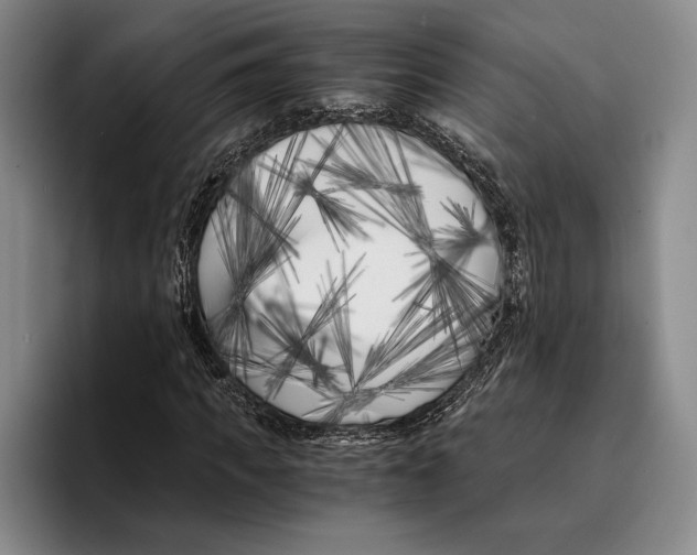 X0000096380917200802211118