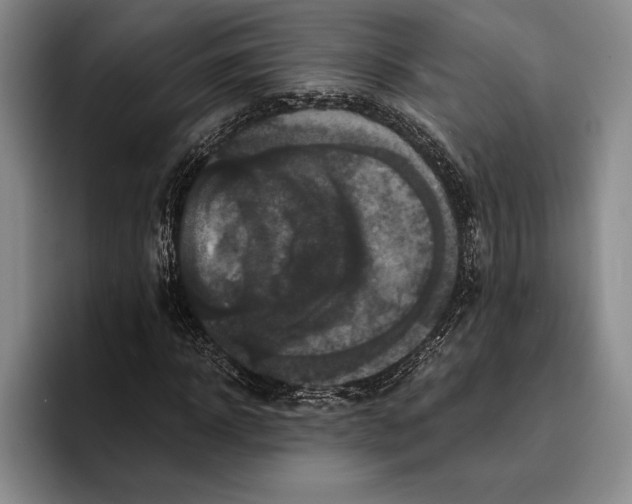 X0000096380918200802211118