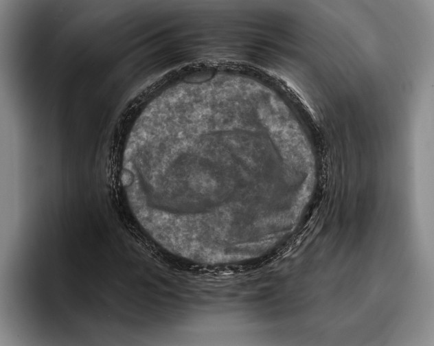 X0000096380919200802211118