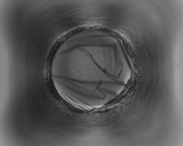 X0000096380920200802211118